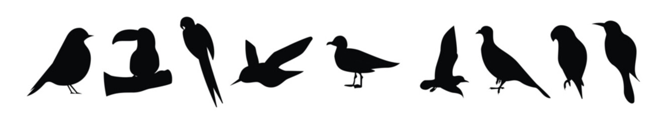 flat bird illustration vector elements 