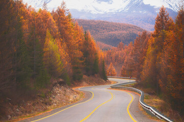 Naklejka premium A scenic highway meanders through a stunning forest filled with autumn colors, set against the backdrop of the majestic Altai mountains, inviting travelers to explore nature.