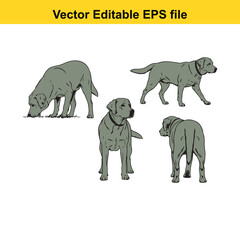 Vector art of set of four labrador retriever dogs in different poses, standing, sitting, and sniffing