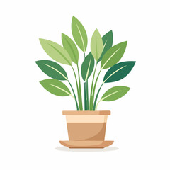 Green houseplant in a flowerpot is a succulent for home decoration, signifying growth and nature