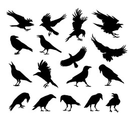 collection of black raven and crow bird silhouettes