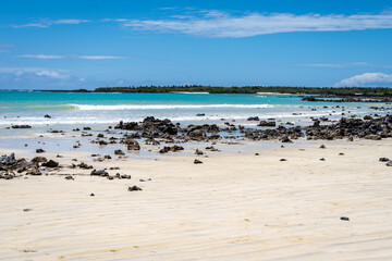 Clear turquoise waters and rocky shore at Santa Cruz Island, Galapagos, Ecuador