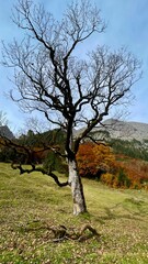 Wanderung, Tirol, großer Ahornboden, Herbst, Landschaft