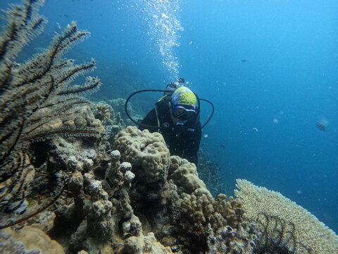 diving on karimunjawa
