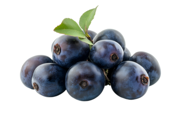 Pile Of Fresh Acai Berries With A Leaf Isolated
