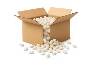 Open cardboard box filling up with white packing peanuts, securing contents for shipping or moving, transparent background