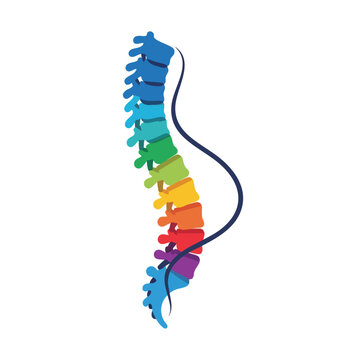 Stylized, rainbow-colored spine with a dark blue curve.