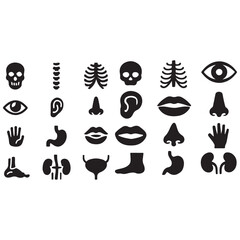 body organs, bone, skeleton, spine, eye, ear, nose, mouth, lips, hand, foot, stomach, kidneys, bladder vector