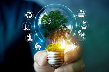 Sustainable energy innovation concept with green tree inside light bulb symbolizing eco future idea