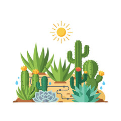 A vibrant desert scene with various cacti and succulents under a shining sun.
