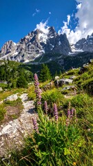 Mountain path with wildflowers under a clear sky