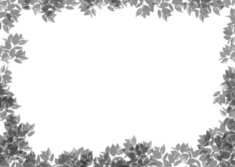 Black foliage frame on transparent background, artistic design templates of leaves nature illustration background.