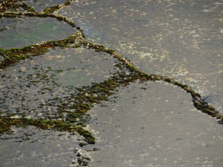 natural water pools at a shoreline of a tropical caribbian  island 