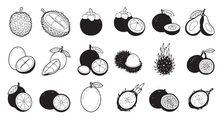 A vibrant collection of exotic tropical fruits, hand-drawn in a classic black and white sketch style.