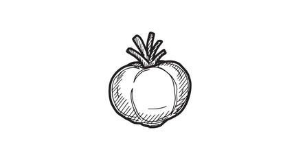 Hand drawn sketch of a fresh, ripe tomato with green stem on white background