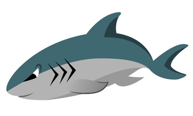 鯊魚-1