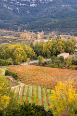 Autumn colors across vineyards in La Rioja Spain with mixed yellow orange and red foliage surrounded by forest and distant hills creating a harmonious agricultural view