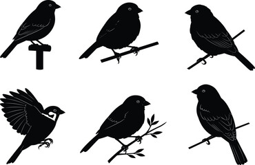 Silhouette birds on branches, flying sparrows and songbirds vector set, black bird illustration, nature wildlife design, perched sparrow collection, minimalist art