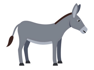 Obraz premium Donkey on white