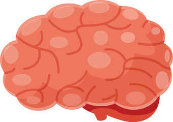 Realistic anatomical illustration of a healthy human brain, symbolizing intelligence, creativity, and cognitive function