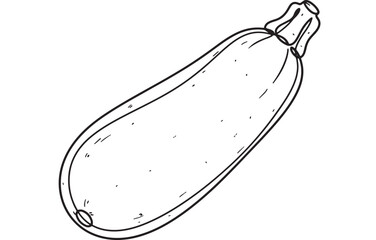 Simple line drawing of a fresh zucchini on a white background