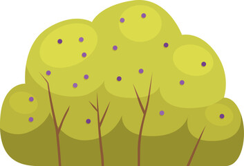 Vibrant green tree with purple berries, representing summer growth and abundance in nature