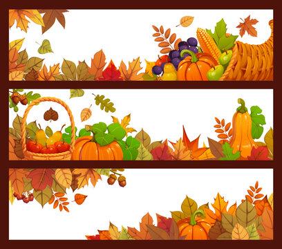 Thanksgiving day harvest banners with autumn crops, cornucopia, fruit basket and colorful fall leaves, ripe cartoon pumpkins, forest berries and wheat. Festive fall season horizontal frame templates