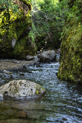 A narrow stream winds through a moss draped ravine in Iceland, rippling around boulders under dense foliage as soft daylight casts high contrast patches on rocks and moss.