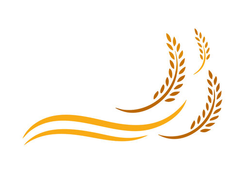 Wheat rice agriculture logo, Wheat grain, Wheat Nutrition, Wheat rice agriculture logo Inspiration vector

