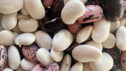 A medley of speckled heirloom beans awaits imaginative chili recipes, perfect for National Bean Day and folkloric harvest festivals