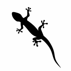 Lizard vector silhouette on white background