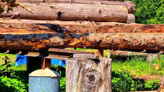Industrial Log Loader Gripping Pine Trunks and Placing on Ramp During Timber Handling Process