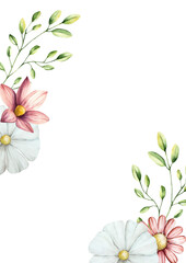 Spring flowers and branches with leaves postcard Watercolor gerbera, chamomile, echinacea. Hand drawn wildflower art isolated on background, transparent png. Botanical, easter and wedding illustration