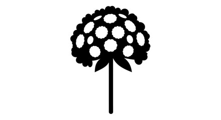 Black and white vector of Ageratum flower on white background