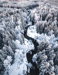 Aerial view of a snow-covered forest with a winding river cutting through the frosted landscape. Sunlight catches the white trees