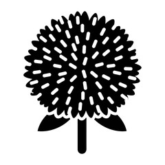 Black and white vector of Ageratum flower on white background