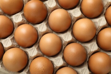 Raw chicken eggs in egg carton as background, top view
