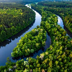 Aerial view of a winding river system flowing through a dense, lush green forest. The water's color is deep blue. Sunlight adds dimension