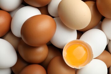 Many whole raw chicken eggs and broken one, closeup