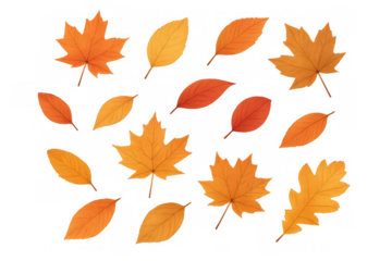 Autumn leaves falling, creating vibrant fall foliage on transparent background, symbolizing season change and nature beauty