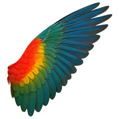 Fototapeta premium Single Parrot Wing Fully Extended Vibrant Layered Feathers