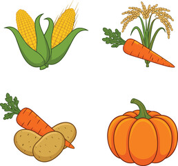 Vector illustration of corn, rice, carrot, potato, pumpkin vegetables and grains for farming, harvest, agriculture, food and seasonal design