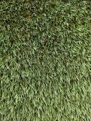 Closed Up Synthetic Green Grass for interior decoration, football or futsal court can be used for background, wallpaper