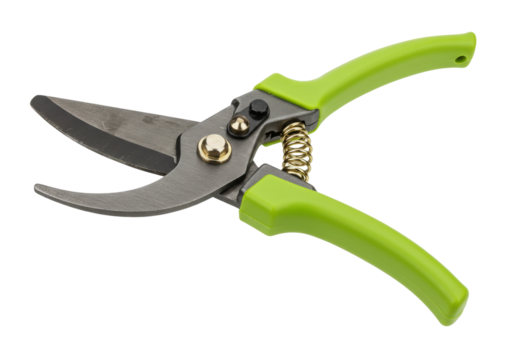 Isolated garden shears or pruning shears, tool for trimming plants, close-up studio shot