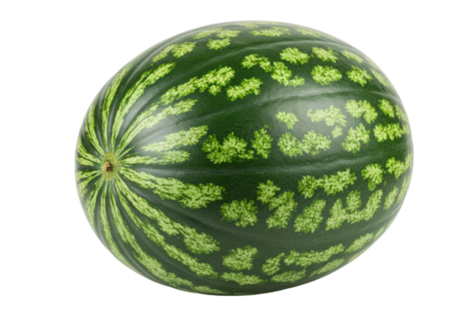 Isolated oblong watermelon with distinct dark green stripes against a lighter green pattern