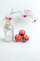 Orchid flowers and red apples in a glass vase still life