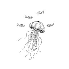 Hand drawn jellyfish with long tentacles swimming with small fish in a black and white illustration style