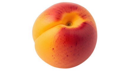 Isolated, close-up of a single apricot, showing its smooth skin and vibrant orange and red colors