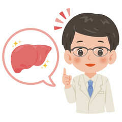 健康な肝臓と白衣を着た男性医師　上半身イラスト／Healthy Liver with Male Doctor in White Coat　upper body illustration