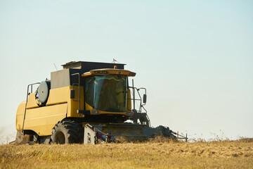 Yellow combine harvester operating in field during harvest season, large agricultural machine moving through dry grass under clear sky, rural farming equipment in action